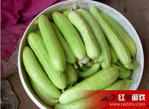 意大利日常吃瓜,日常饮食中的趣味与智慧