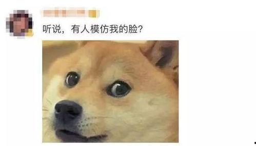 狗头君吃瓜观众