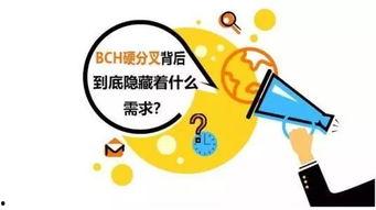 坐观吃瓜小说,揭秘网络小说中的虚拟世界与真实人生