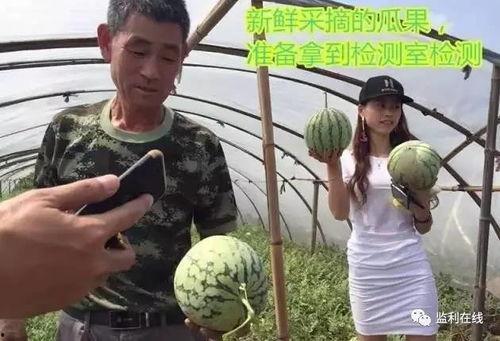 朝阳吃瓜群众直播,揭秘网红幕后生活