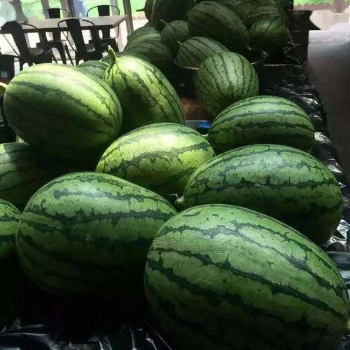 京城吃瓜视频,揭秘京城热点事件背后的故事