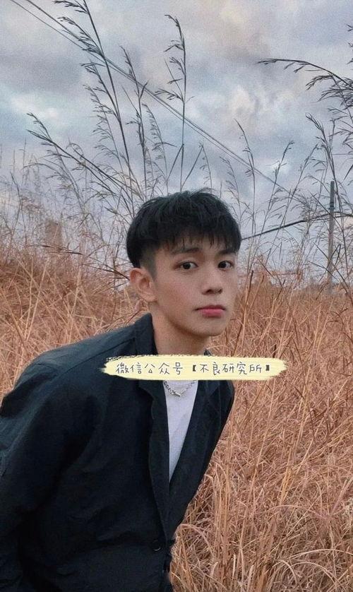 乐仔 吃瓜,揭秘娱乐圈那些不为人知的幕后故事