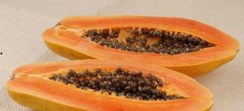 烧伤可以吃瓜么,瓜类食物的适宜与禁忌