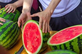 大竣吃瓜,揭秘娱乐圈幕后故事