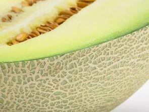 吃瓜吃瓤爽口甜,甜蜜滋味尽享