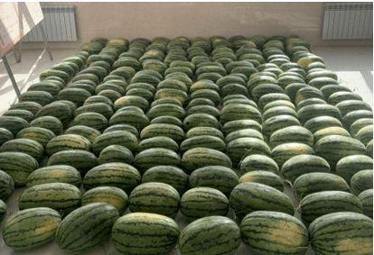 新乡最新吃瓜新闻,最新吃瓜新闻揭秘，事件背后真相令人咋舌！”