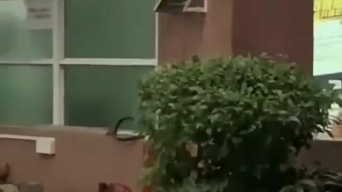 新乡最新吃瓜新闻,最新吃瓜新闻揭秘，事件背后真相令人咋舌！”