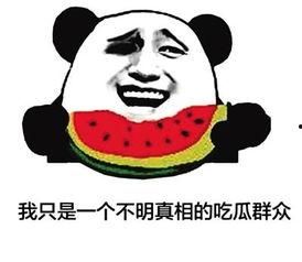 网络用语吃瓜群众,网络时代的围观力量