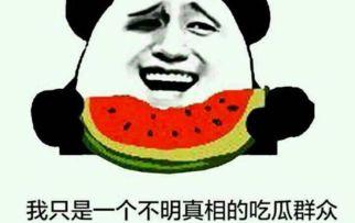 网络用语吃瓜群众,网络时代的围观力量