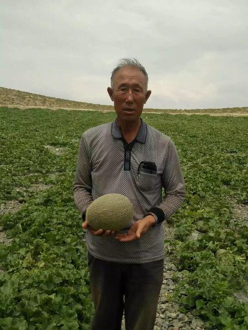 吃瓜的胡渣,揭秘娱乐圈的幕后故事