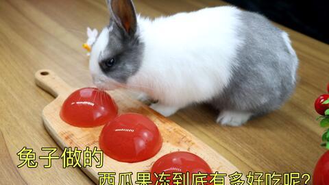 怎样吃兔子瓜,兔子瓜的独特食用方法揭秘