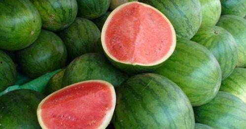 女生回复吃瓜吃,女生吃瓜吃出欢乐时光