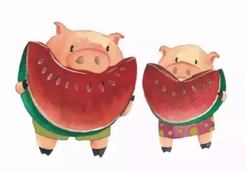 大猪吃瓜,揭秘动物界的趣味食趣