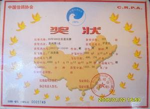 吃瓜冠军奖状,揭秘“吃瓜冠军”的传奇故事