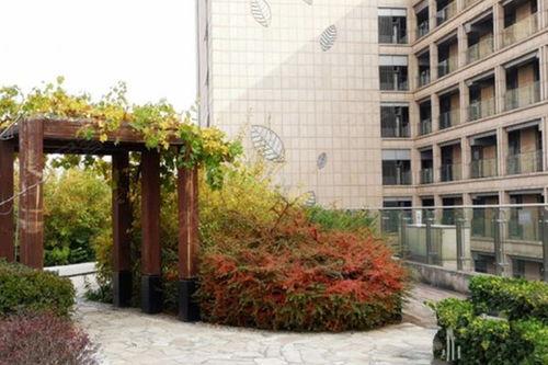 国悦府吃瓜,吃瓜群众眼中的繁华盛景