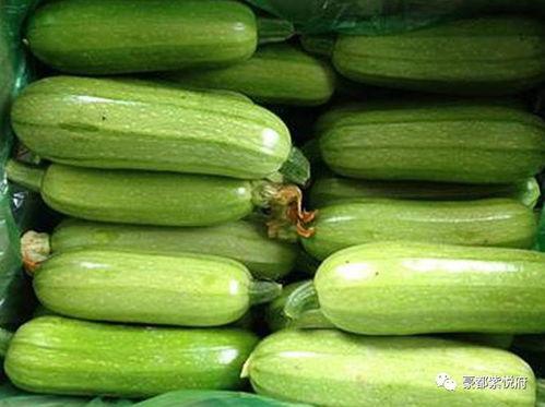 国悦府吃瓜,吃瓜群众眼中的繁华盛景