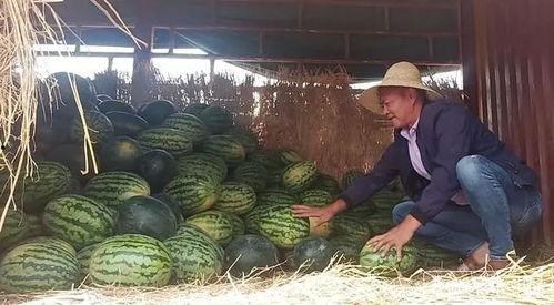 昆明高校吃瓜2022,吃瓜群众眼中的校园美食盛宴