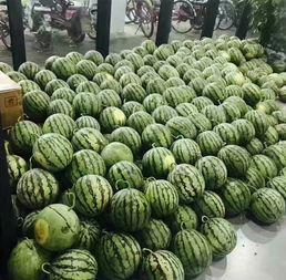 昆明高校吃瓜2022,吃瓜群众眼中的校园美食盛宴