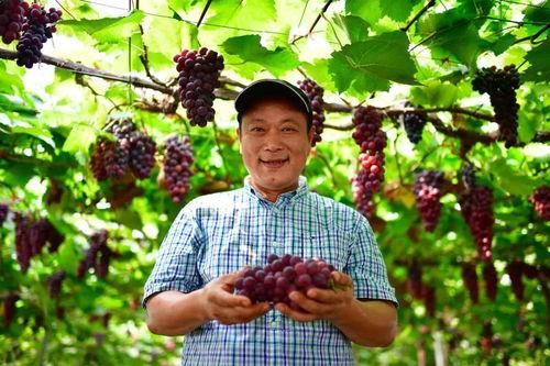 交大博士吃瓜,揭秘校园热点背后的真相