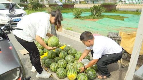瓜吃瓜元打跳,揭秘网络热梗背后的趣味与争议