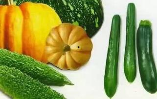 老赵吃瓜,揭秘娱乐圈那些不为人知的幕后故事