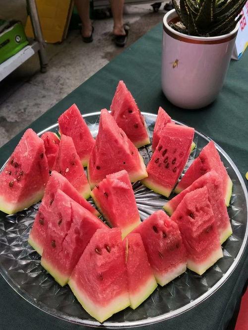 吃瓜宁夏大学,吃瓜群众的青春风采