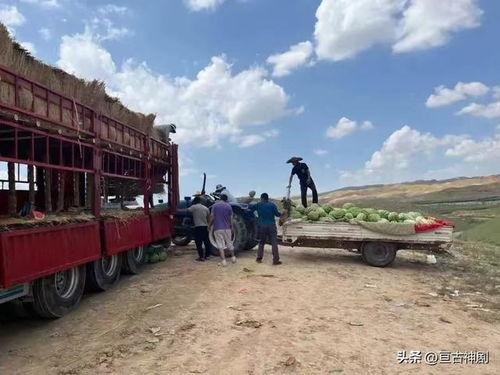 吃瓜宁夏大学,吃瓜群众的青春风采