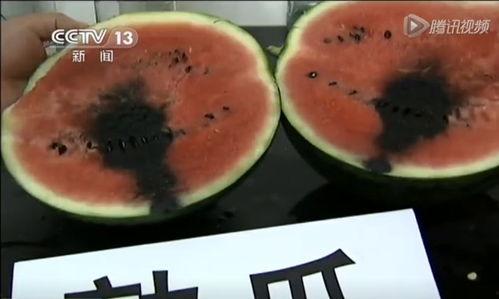 带你吃瓜抓鱼视频