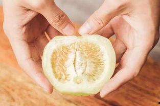 吃瓜搬瓜吐皮是什么,揭秘“搬瓜吐皮”现象背后的网络文化