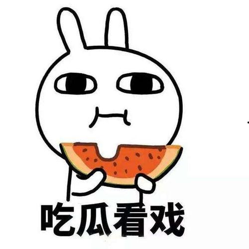 吃瓜吃不过来,如何应对信息爆炸时代的海量资讯