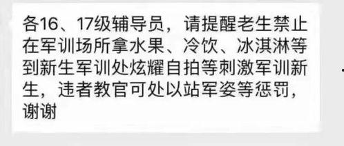 欢迎师哥师姐吃瓜,欢迎师哥师姐共享瓜香时光