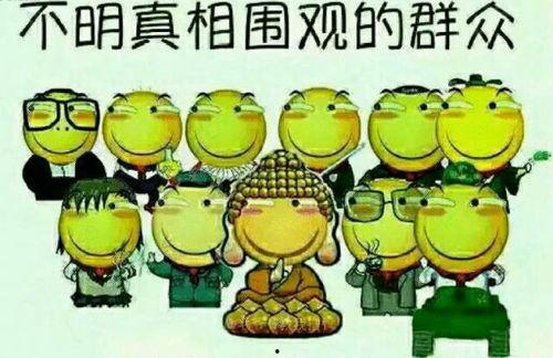 家族警告嘉华吃瓜,嘉华家族内部吃瓜事件揭秘