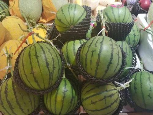 海南哪里吃瓜好,探寻海南最佳吃瓜胜地