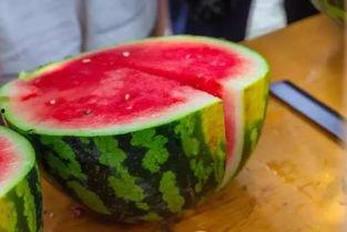 海南哪里吃瓜好,探寻海南最佳吃瓜胜地