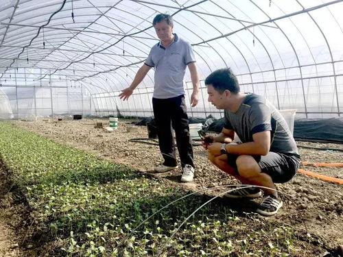 吃瓜群众国庆快乐,吃瓜群众共庆欢乐时光