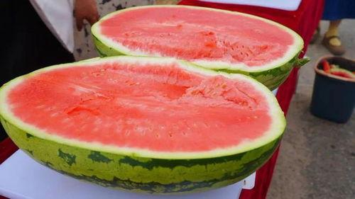 魏县吃瓜事件2024,一场引发社会热议的网络狂欢