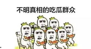 坐下吃瓜安静图片,品味人生
