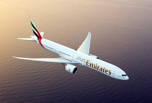 阿联酋航空吃瓜,揭秘机上特色美食背后的故事