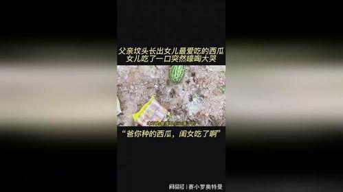 女儿坟头吃瓜,一场意外的乡村奇遇