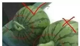 那些qq吃瓜群,QQ吃瓜群背后的热点风云