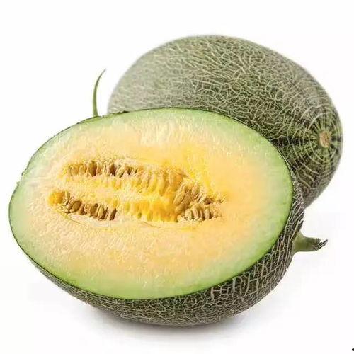 吃藤又吃瓜是什么瓜,探寻“吃藤又吃瓜”的独特瓜种