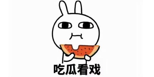 带你吃瓜费脑筋,破解费脑筋的趣味谜题之旅