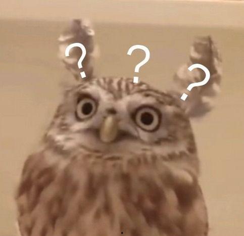 谢安然吃瓜图片,瓜王降临！