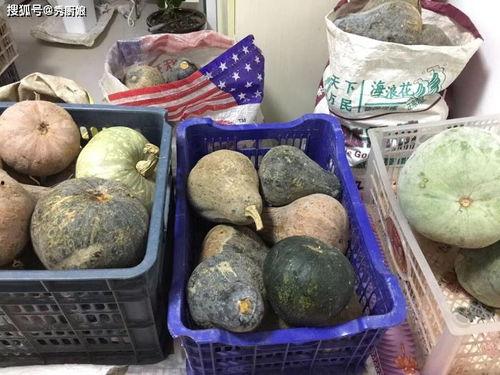 吃瓜囤货装,吃瓜达人必备清单