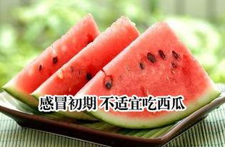 天瓜的瓜心可以吃吗图片,可食用之谜