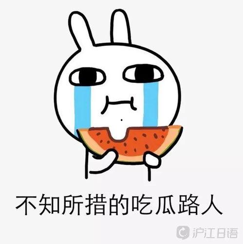 实测行走吃瓜圈,揭秘日常生活中的趣味瞬间