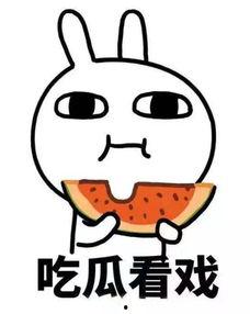 吃瓜君小浙,揭秘娱乐圈那些不为人知的幕后故事