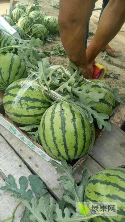 吃瓜2021.1.22,吃瓜群众视角下的热点事件回顾