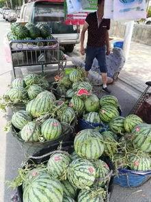 龙井骑行吃瓜事件