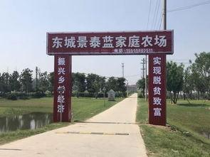 界首吃瓜最新,揭秘当地特色美食背后的故事